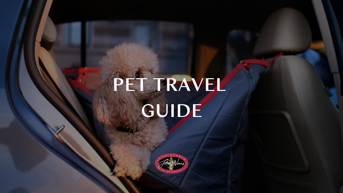 A guide to travelling with pets: UK & Europe