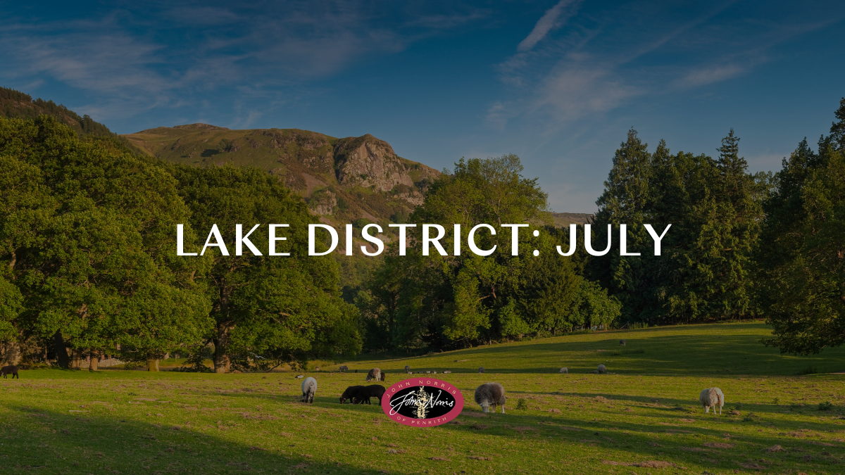 Things to do in the Lake District: July