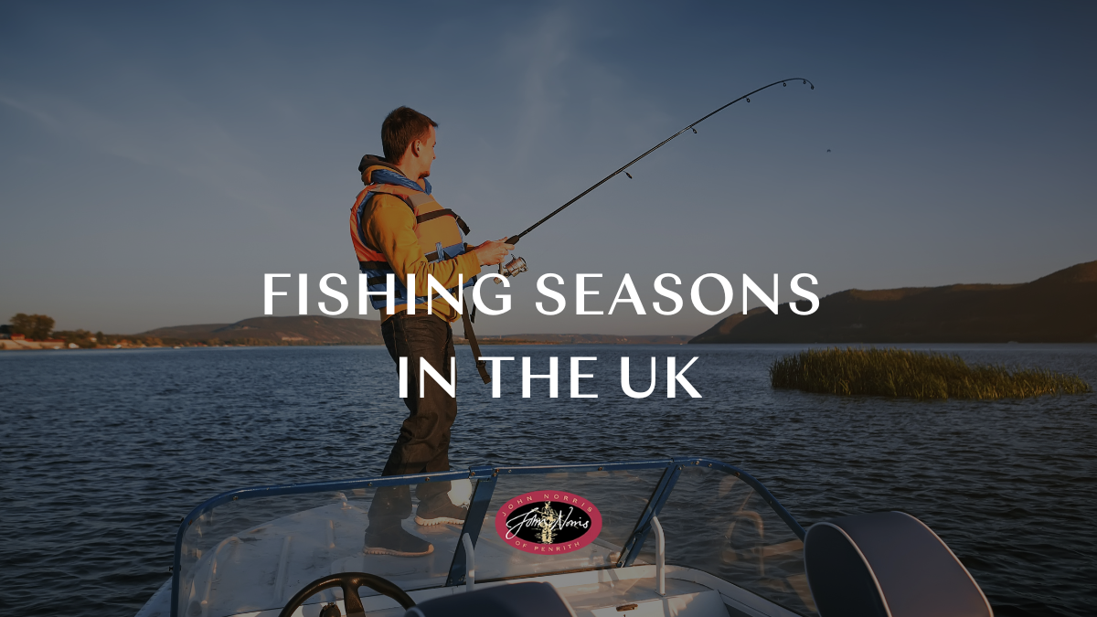 Fishing seasons in the UK