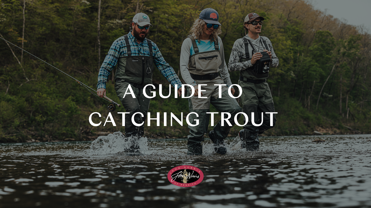 How to catch trout