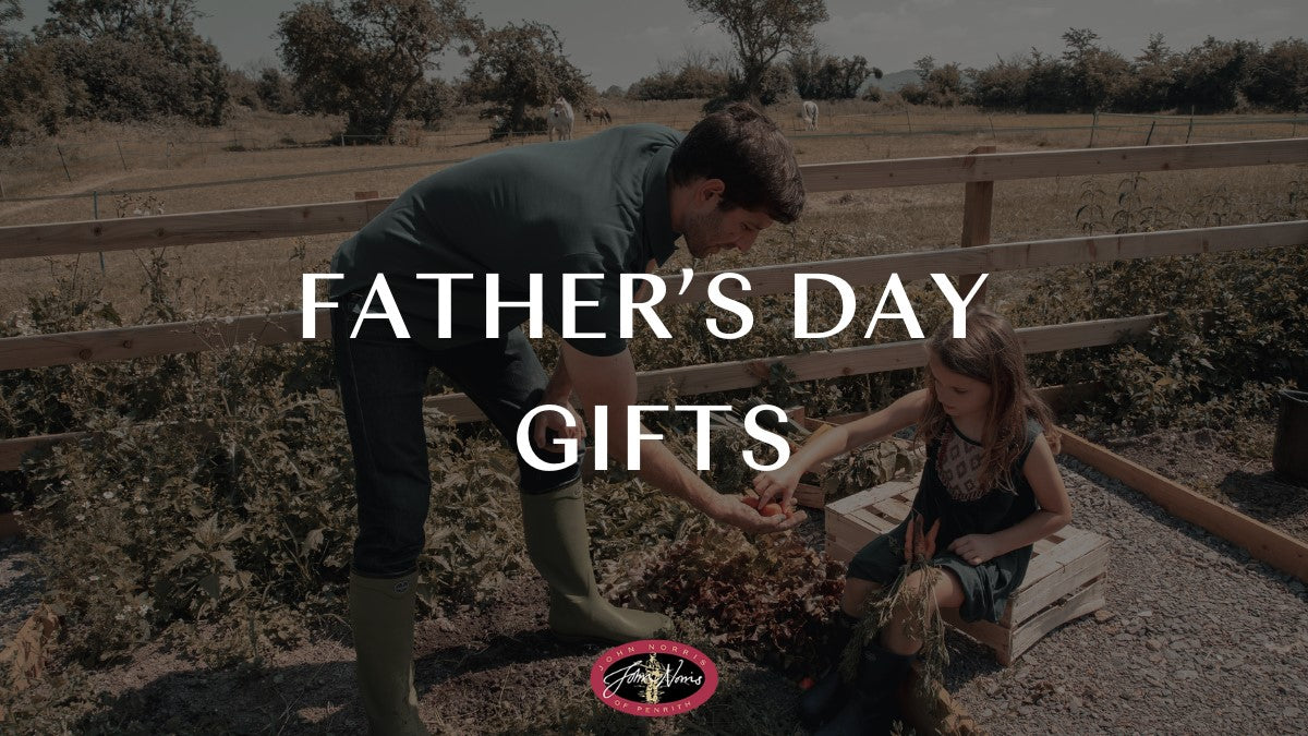 Father's Day Gifts