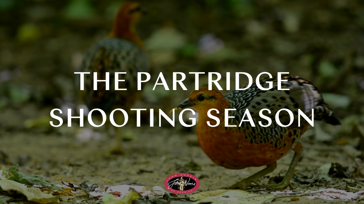 Your Guide to the Partridge Shooting Season