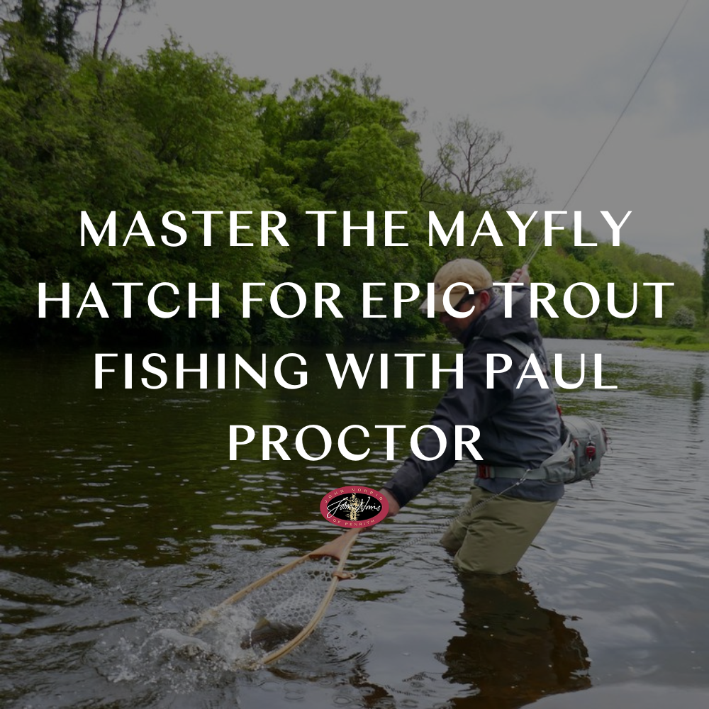 Master the Mayfly Hatch for Epic Trout Fishing with Paul Proctor