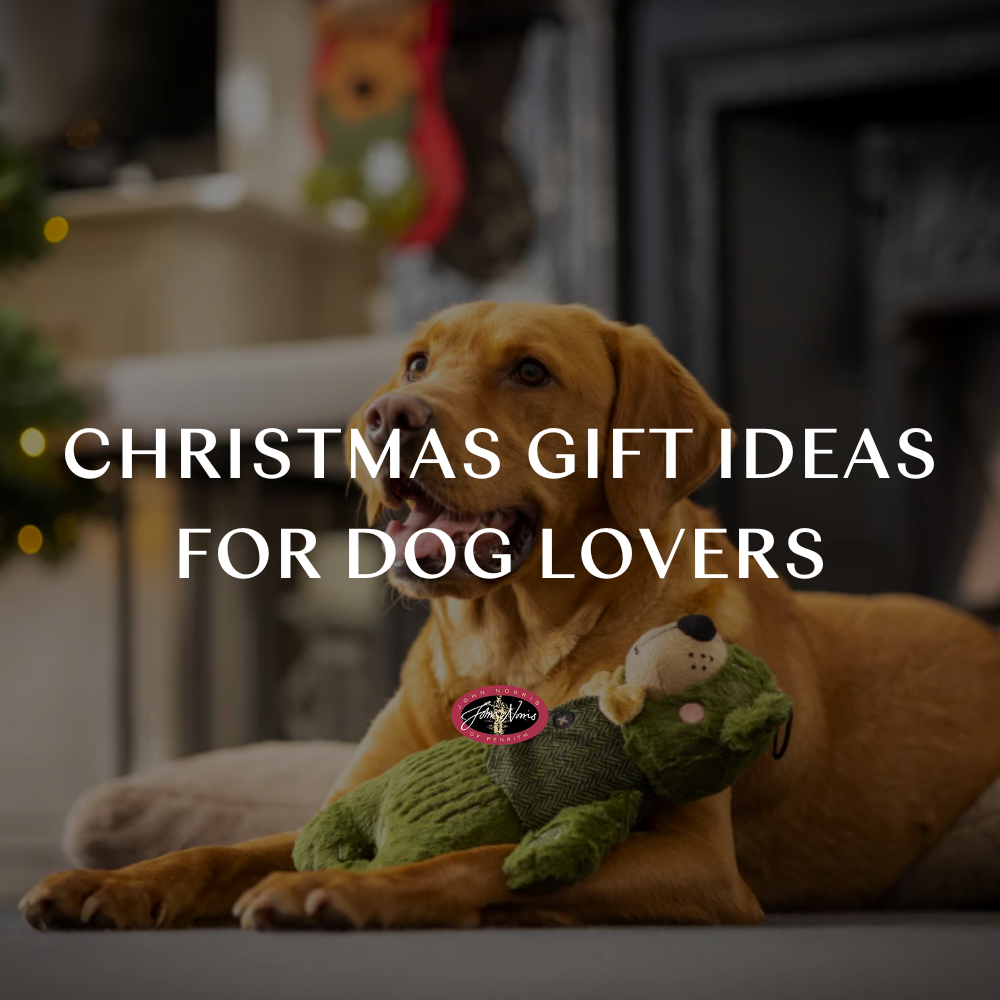 Christmas Gift Ideas for Dog Lovers