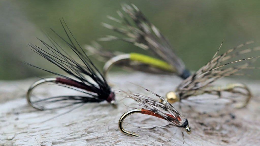 Spider set ups with Mike Tinnion