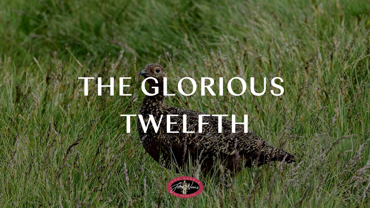 The Glorious 12th: The Start of the Grouse Season