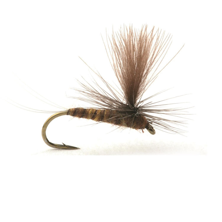Guideline Marginata Mayfly Flies