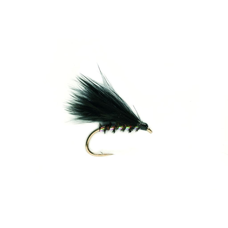 Cormorant Traffic Light Fly