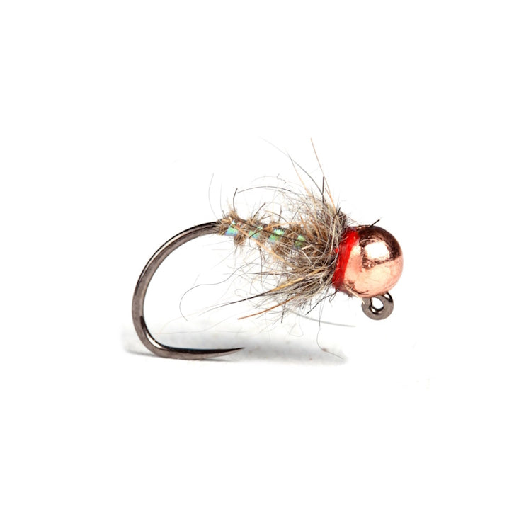 Guideline The Pearl Hare Flies