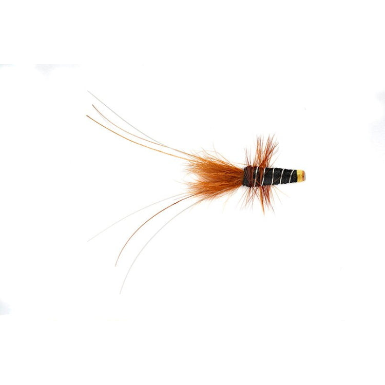 Black Frances Fly