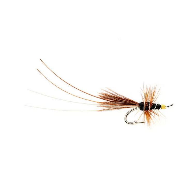 Black Francis Salmon Double
