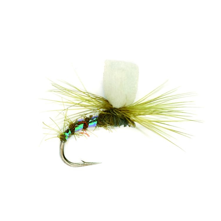 Fishing fly with white body and greenish-brown wings on a white background