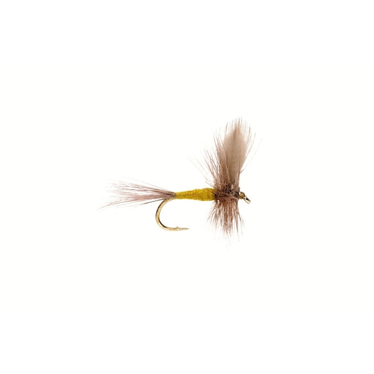Blue Winged Olive Fly
