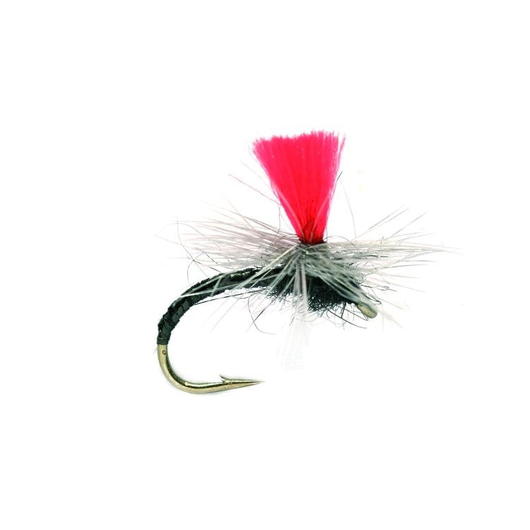 Greased Lightening Black Fly