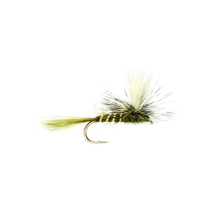 Parachute Hares Ear Olive Fly