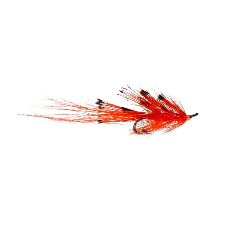General Practitioner Double Fly
