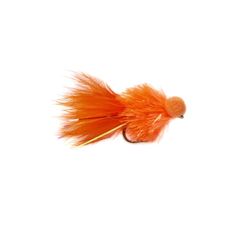 Booby Cactus Orange Fly