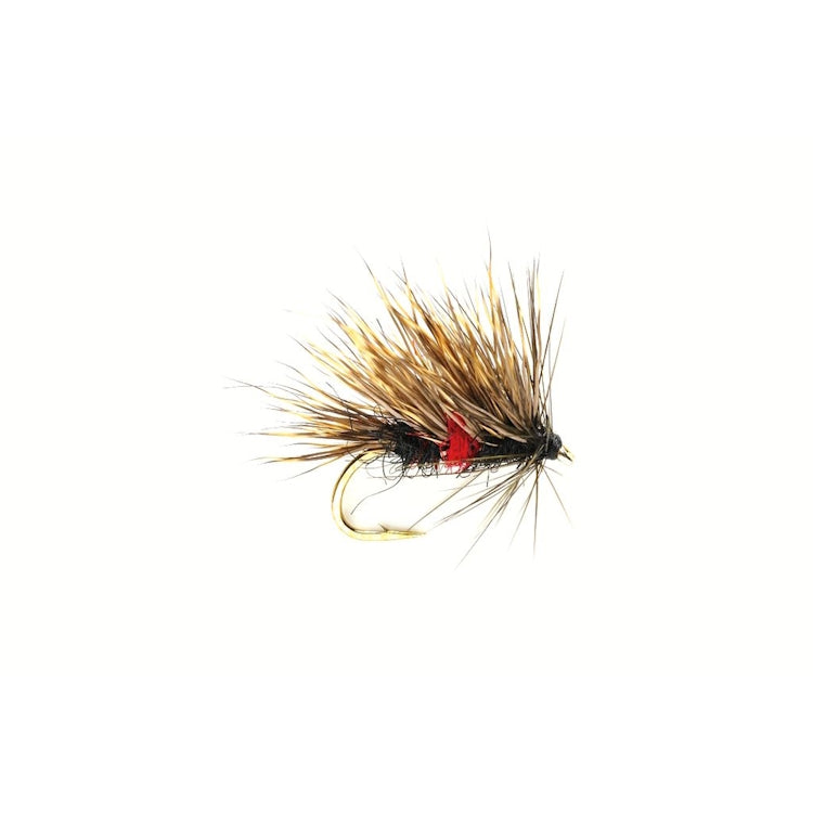 Sedgehog Bibio Fly