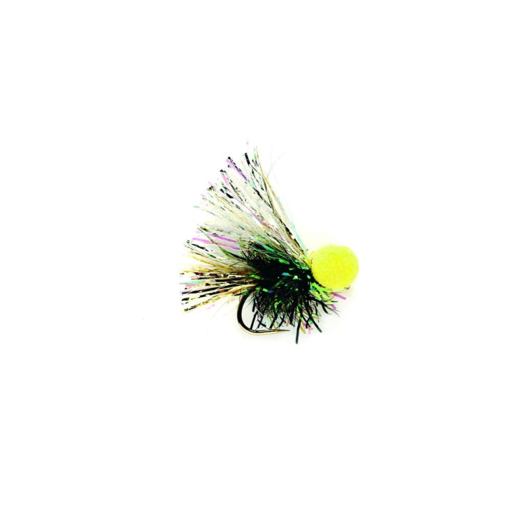 Yellow Eyed Black Spark Booby Fly
