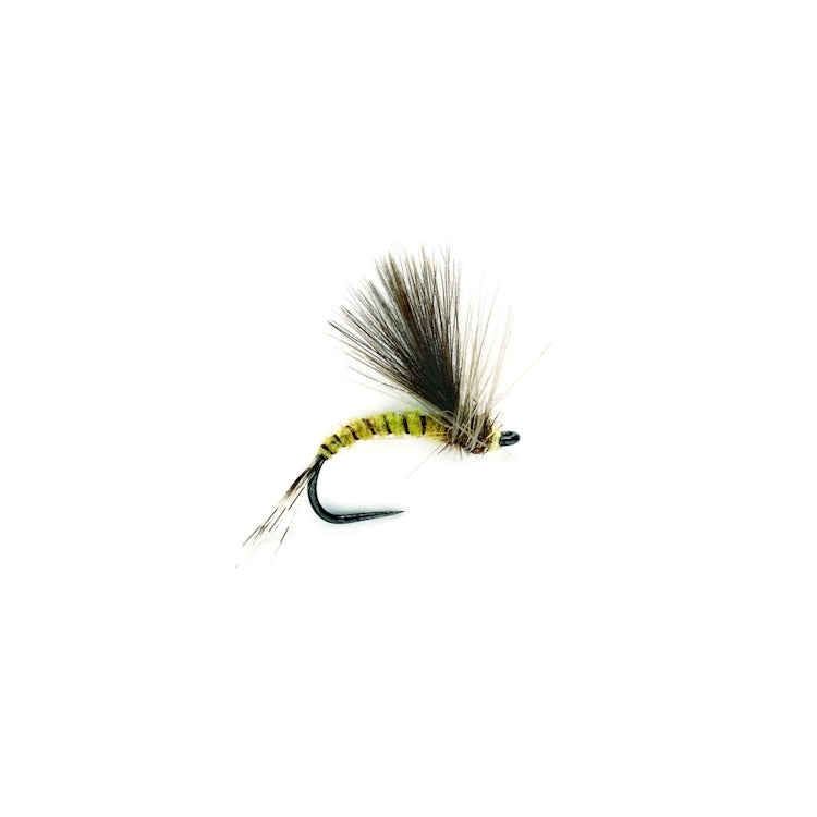 CdC Olive Emerger Barbless Fly