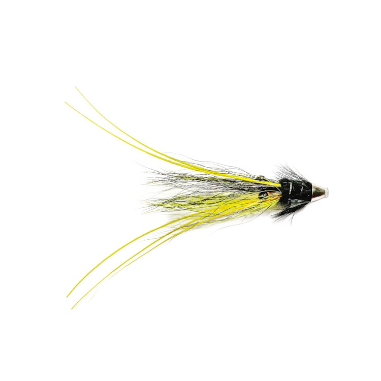 Caledonia Spey Shrimp Piglet Brass Conehead Fly