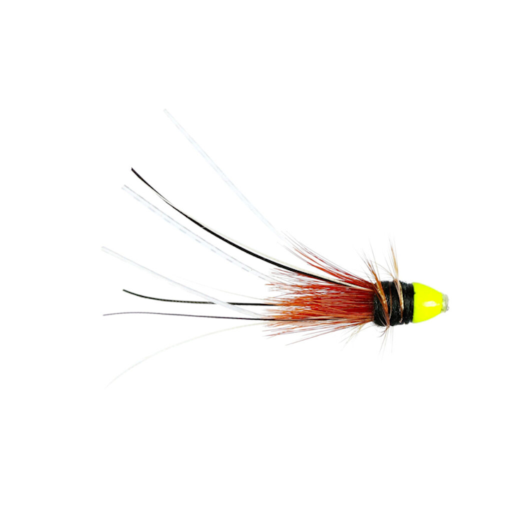 Black Francis Bomb Tungsten Conehead