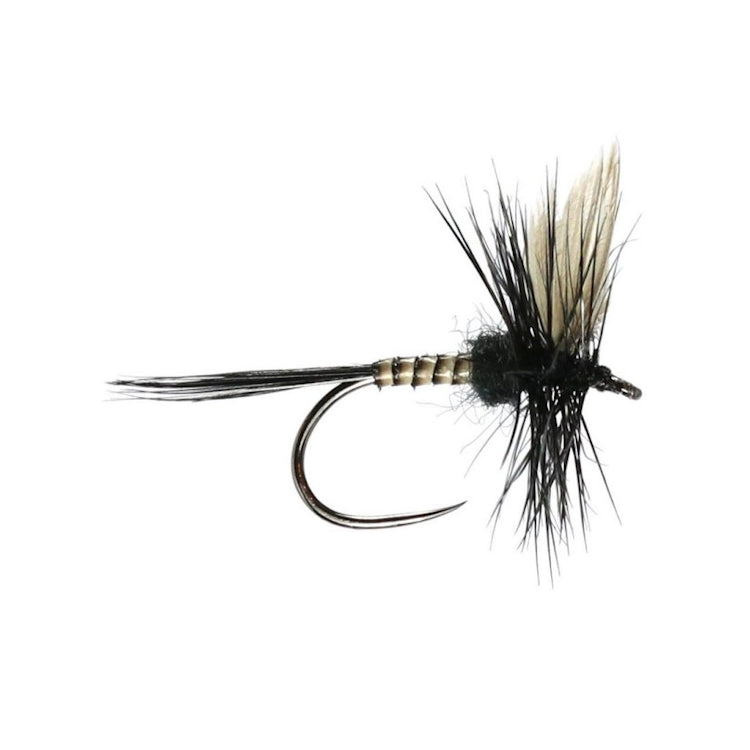 Black Gnat Dry Fly (W) Flies