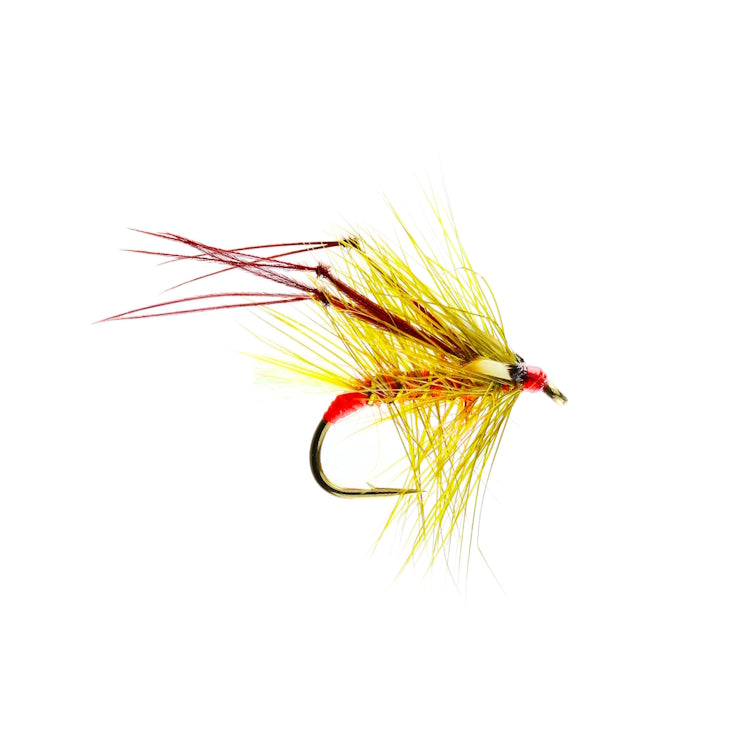 Gorgeous George Hopper Fly