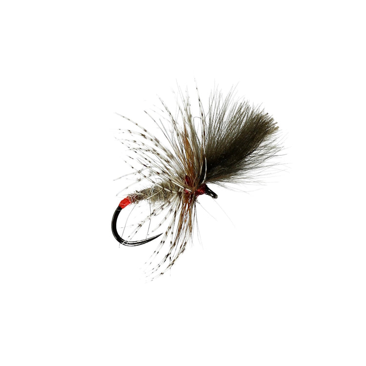 Grunter Fly