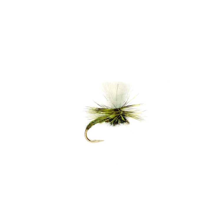 Klink Light Olive Fly