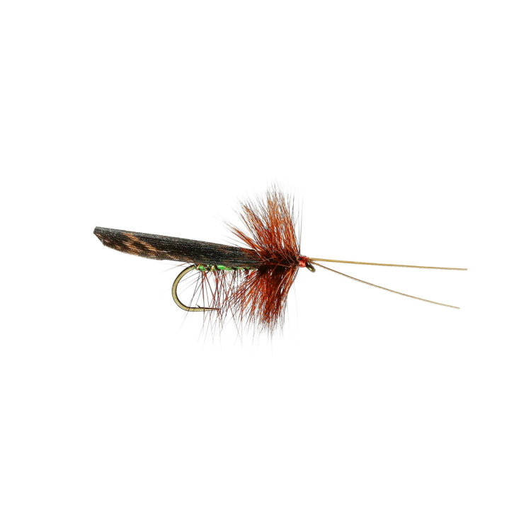 Green Peter Murrough Sedge Dry Flies