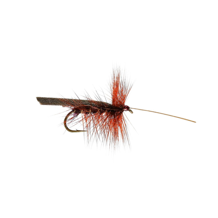 CFC Claret Murrough Sedge Flies