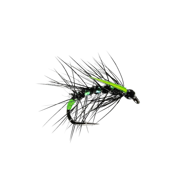 Viva Snatcher Fly