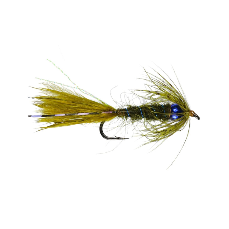 Blue Eyes Damsel Fly