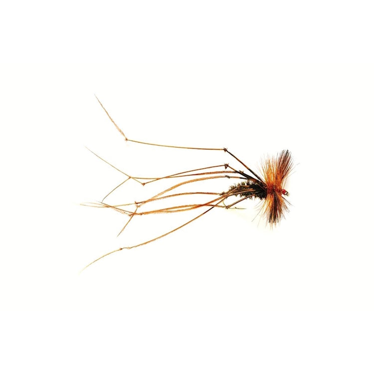 Peacock Daddy Fly