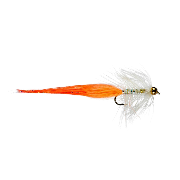 Coral Dancer Fly