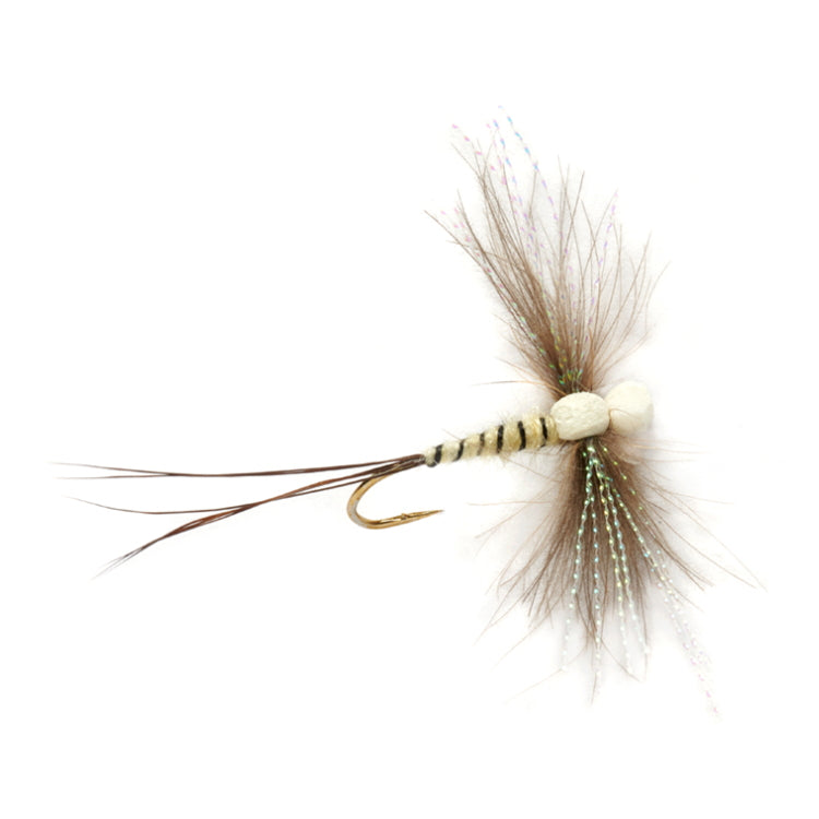 Procter Twinkle Wing Spinner Fly