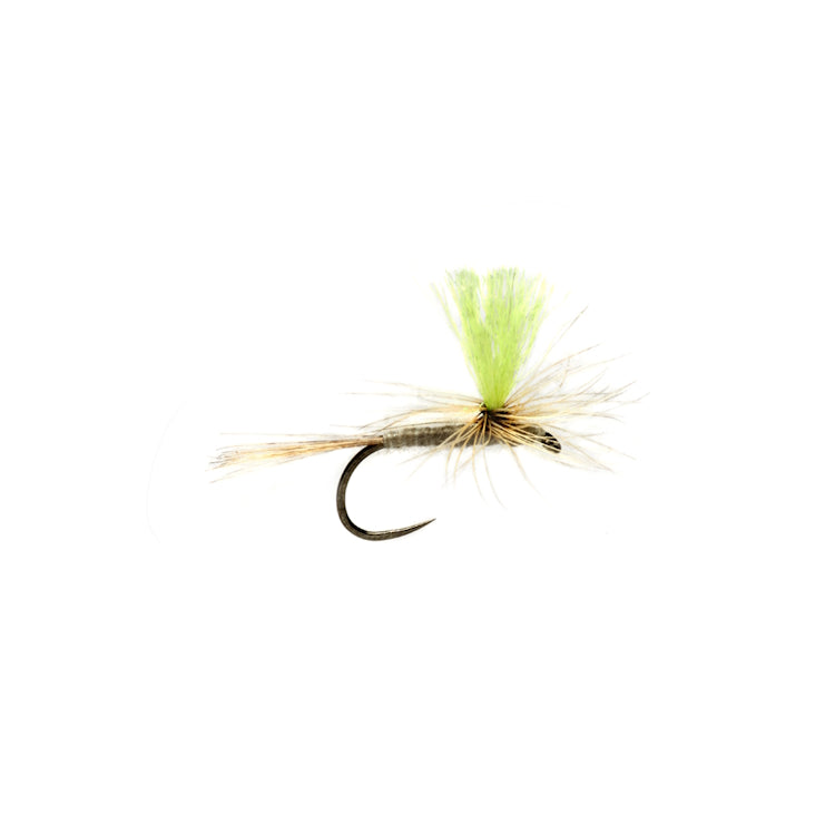 Proctor Hi-Vis Para-Duster Barbless Fly