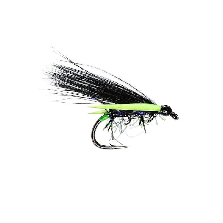 Black Cormorant Fly