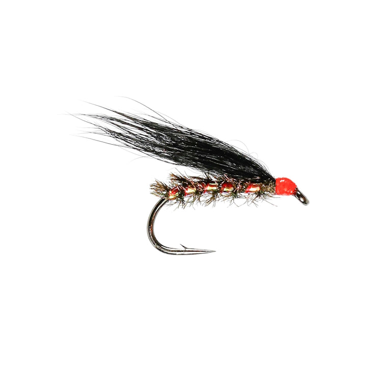 Traffic Lite Cormorant Fly
