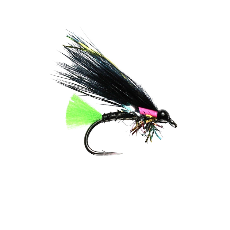 Gemstone Cormorant Fly