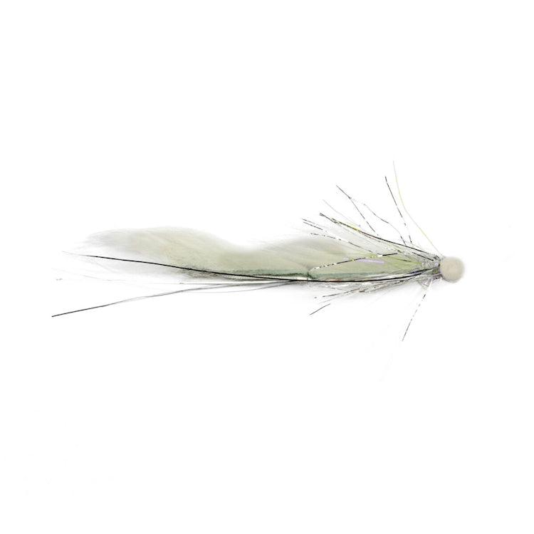 White Snake Booby Fly