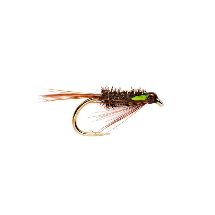 Green Cheeked Diawl Bach Fly