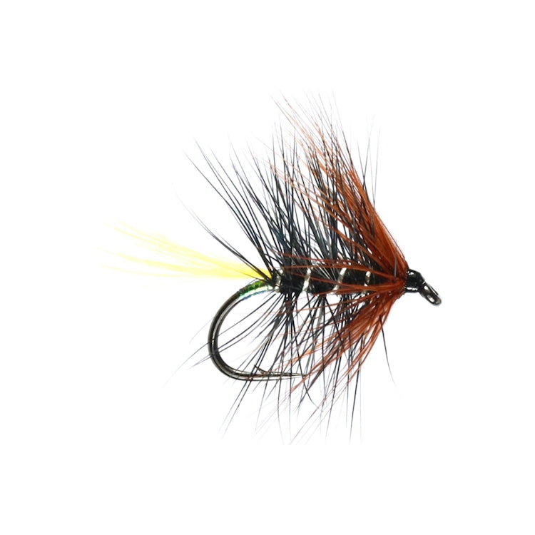 Kate Mclaren Hackled Wet Flies