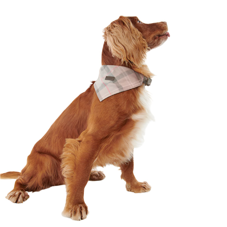 Barbour Tartan Dog Bandana - Taupe/Pink Tartan