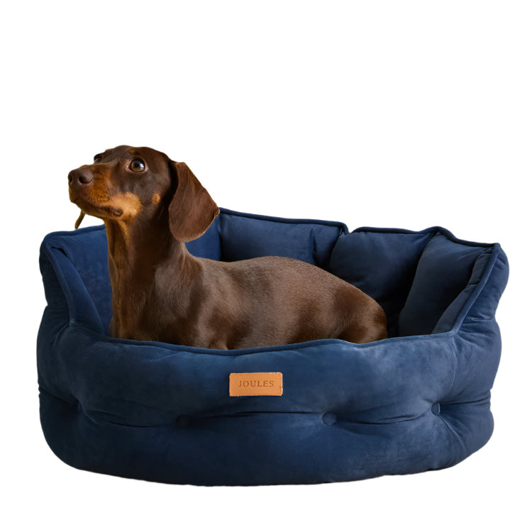 Rosewood Joules „Raining Dogs“ Haustierbett, Größe L – Marineblau, Waschbar, Rutschfeste Unterseite