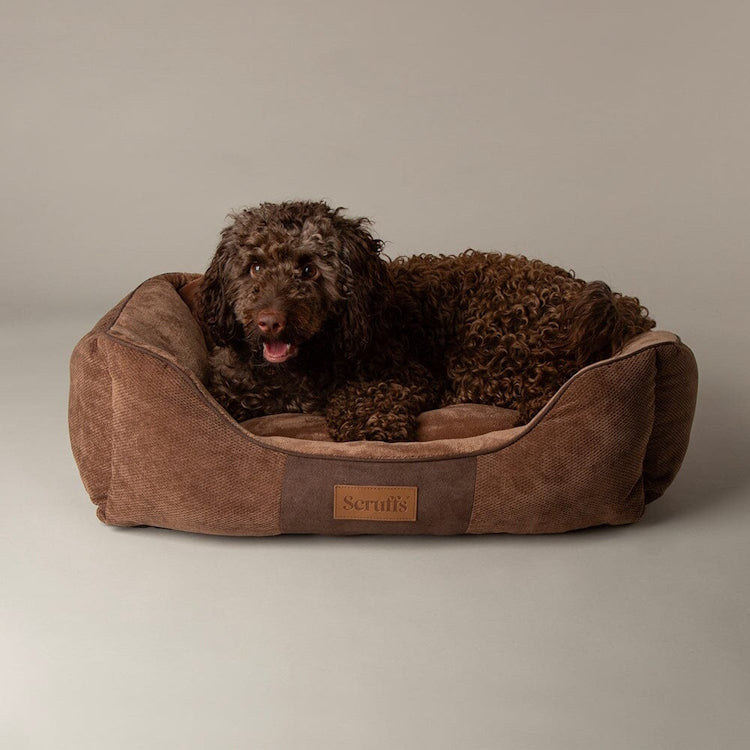 Scruffs Chester Box Dog Bed - Chocolate