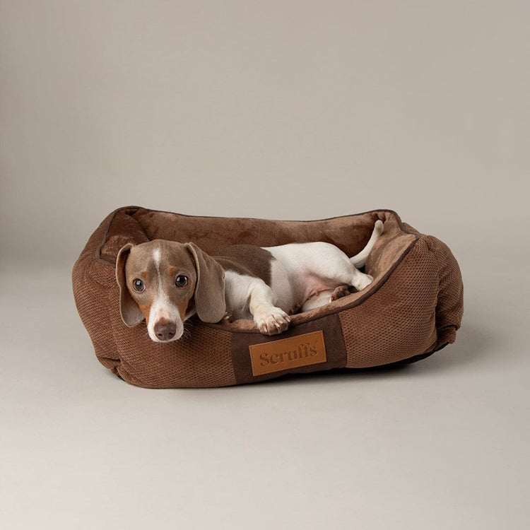 Scruffs Chester Box Dog Bed - Chocolate