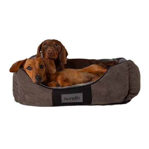 Scruffs Chester Box Dog Bed - Graphite