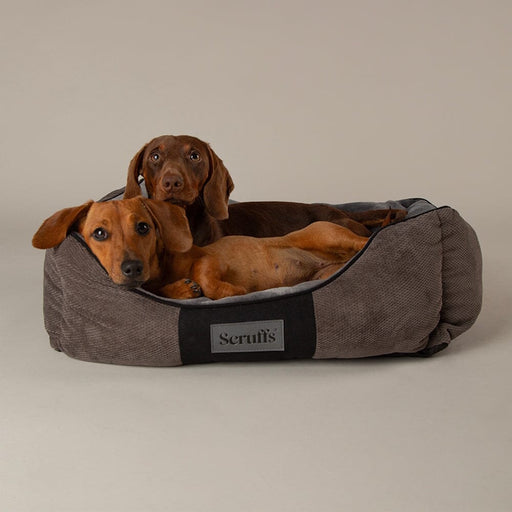 Scruffs Chester Box Dog Bed - Graphite